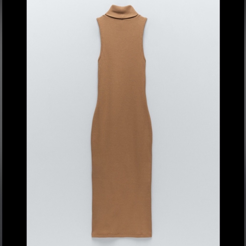 Zara Ribbed Turtleneck Dress